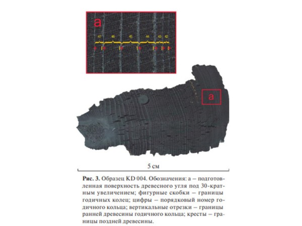 Российские ученые научились определять датировки поселений по углям из древнего очага